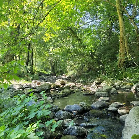 Le Figuier Moulin De Lagharde * Rochessauve