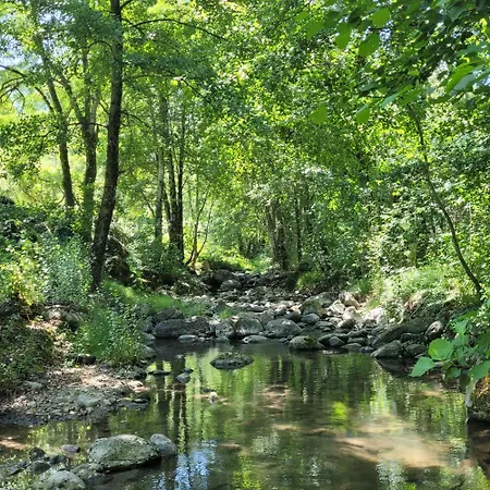 Lägenhet Le Figuier Moulin De Lagharde Rochessauve